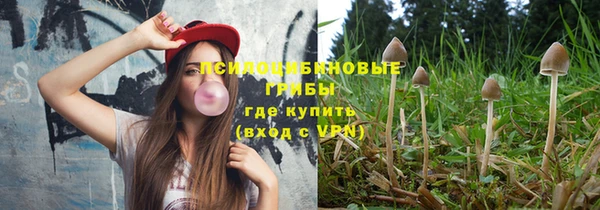 соль ск Вязники
