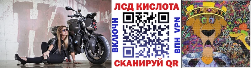 мега как войти где можно купить наркотик Новая Ладога Наркотические марки 1500мкг